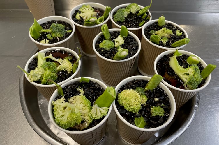 Veggie ice lollies for monkey enrichment at Paignton Zoo