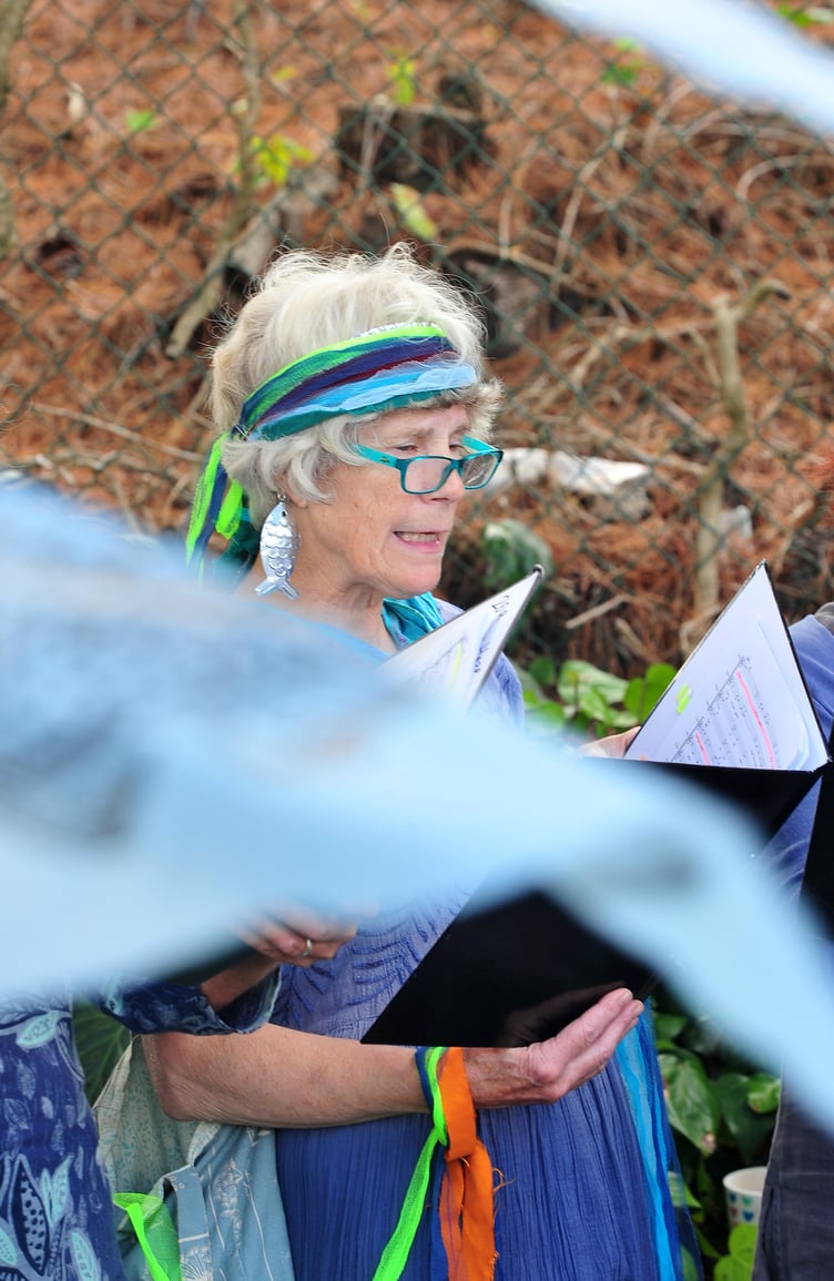 Celebration of Rivers event at Newton Abbot Town Quay