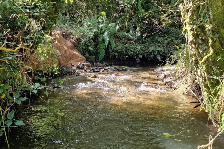 The river Camel after having its weir removed
