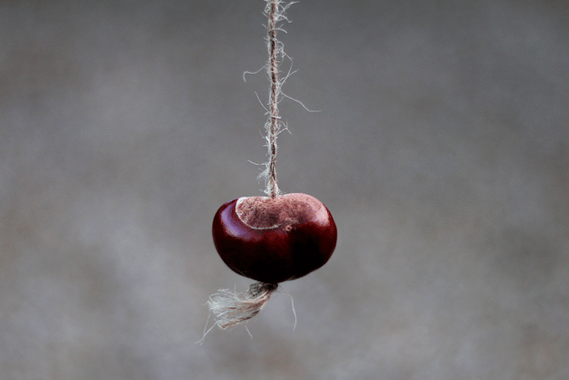 Fun craft ideas to try with conkers