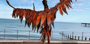 Artists prepare for 19th TRAIL