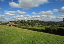 Wolborough Fen named jewel of English nature by Guardian