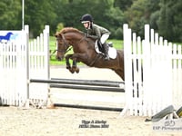 Kingsteignton Girl’s Equestrian Skills Shine in the Arena