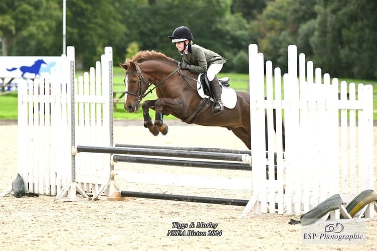 Tabitha Cook in action with new pony Morley