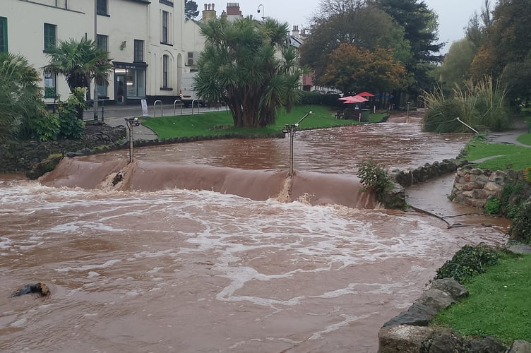 Dawlish Brook high water level. Photo Noreen Goodchild