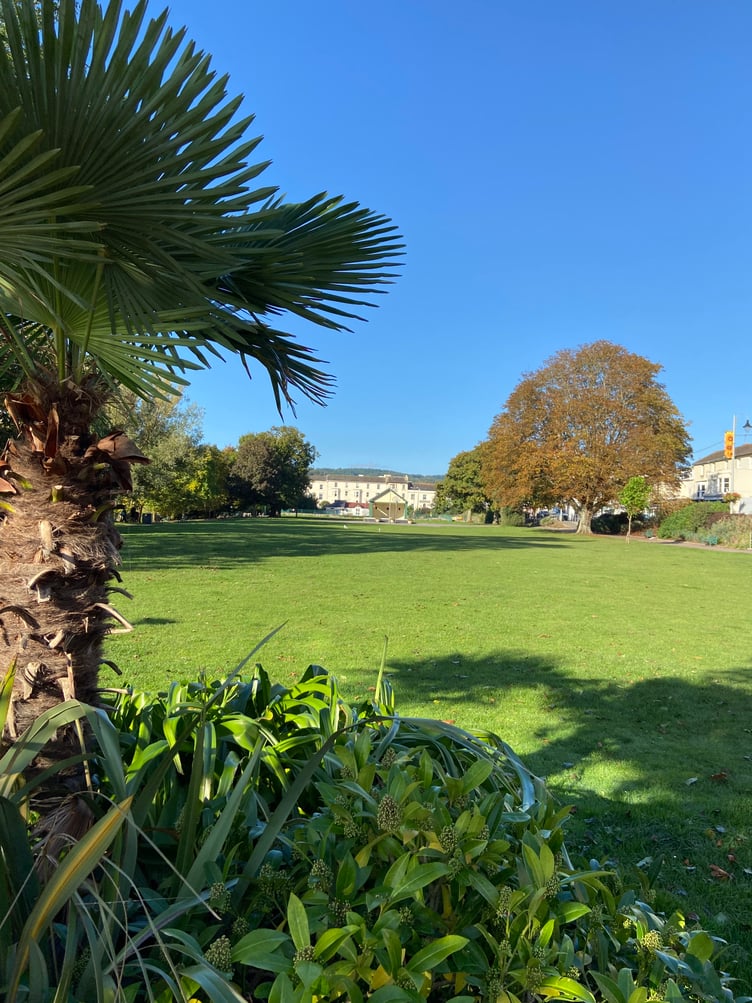 The Lawn, Dawlish. Photo Ellen Grindley
