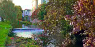 Save Our Brook petition handed to councillors