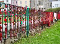 Volunteers needed for Dawlish Poppy Wall Tribute