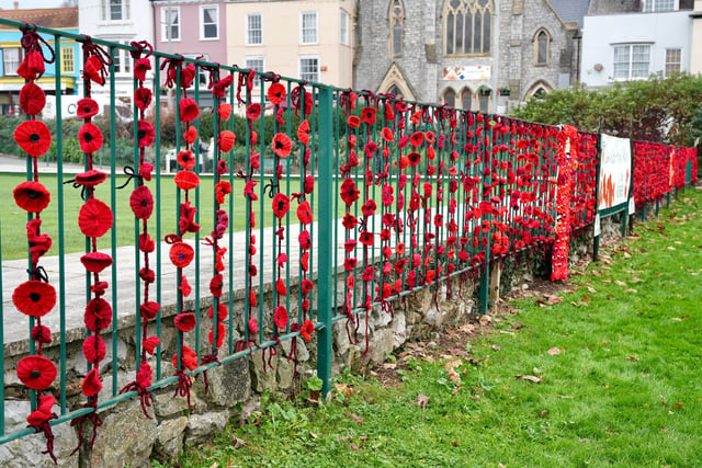 Appeal for Hand-Knitted Poppies