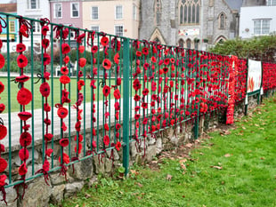 Volunteers needed for Dawlish Poppy Wall Tribute