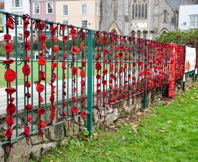 Volunteers needed for Dawlish Poppy Wall Tribute