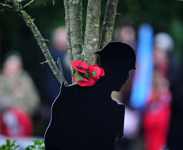 Remembrance events across Teignbridge this year