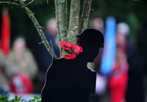 Remembrance events across Teignbridge this year