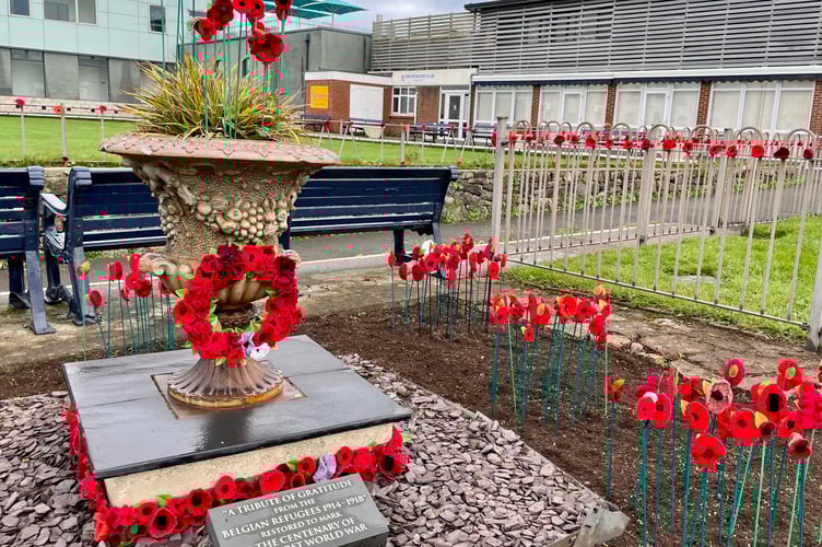 A garden of poppies knitted and crocheted by RNLI supporters has been installed on the Den in Teignmouth