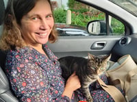 Police seek break in kitty cat abduction