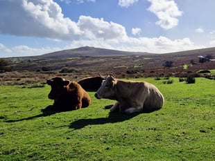 Second homes add to pressure on councils