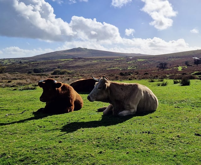 Second homes add to pressure on councils