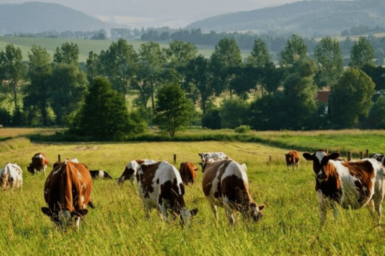 Devon County Council set to demand ‘family farm tax’ is withdrawn