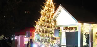 Dawlish Christmas lights switch on cancelled