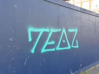 Appeal for witnesses following spate of graffiti