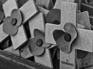 Poppy Appeal raises more than £30,000