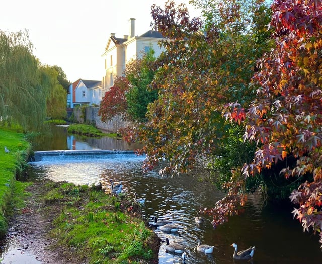 Warning over waterway pollution 
