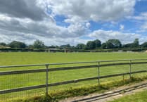 Rock-bottom DFL finish confirmed for Ipplepen Athletic