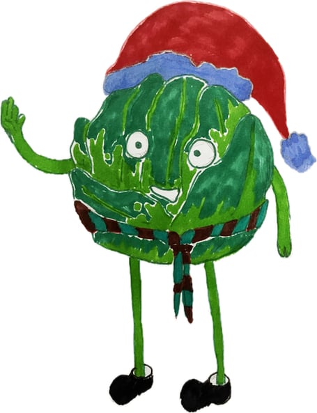 Sprouts for Scouts Teignmouth December 2024 Christmas