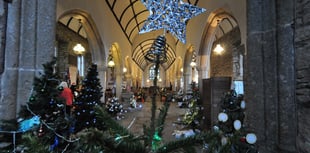 Dartmoor Village's Magical Tree Fest