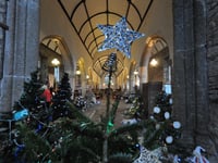 Dartmoor Village's Magical Tree Fest