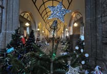 Discover Dartmoor's Magical Tree Festival