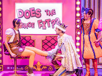 If the show fits....then Cinders will wear it well