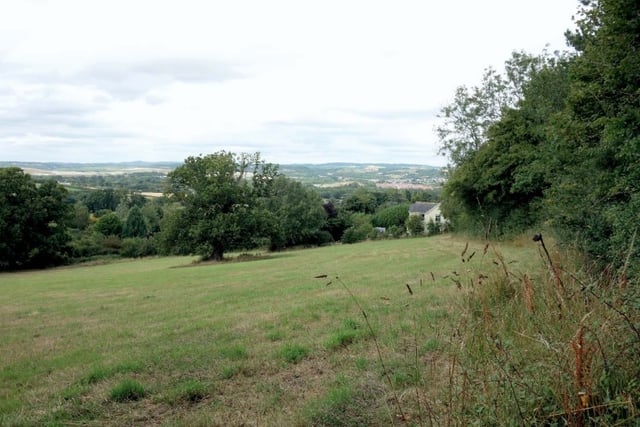 Homes scheme beaten by bats
