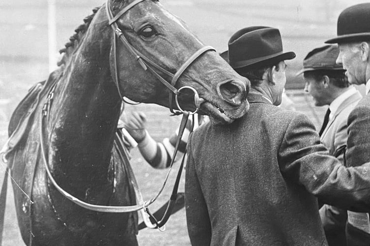 A day at the races. Racing at  Buckfastleigh Racecourse from the early 1970s. Although Buckfastleigh closed its doors as a licenced racecourse in August 1960, the historic old course still provides a wonderful setting for point-to-points