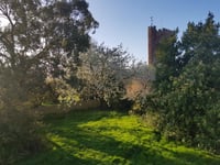 New community garden project launched