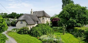 Thatched cottage for sale is "rare gem" with its own swimming pool 