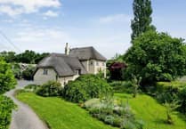 Thatched cottage for sale is "rare gem" with its own swimming pool