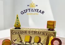 Cheesy game wins top award