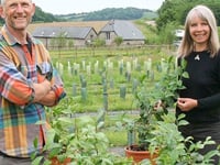  Ten years of Dartmoor tea