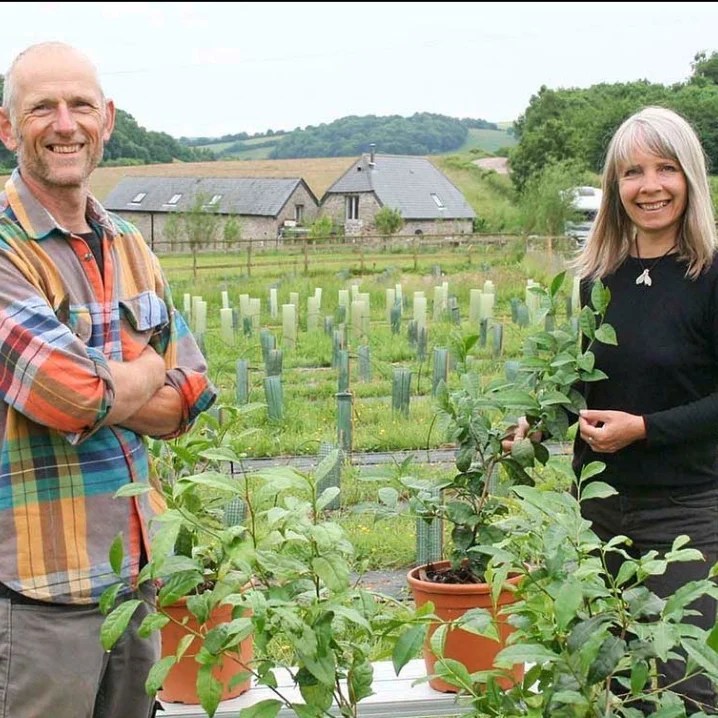Jo Harper and Kathryn Bennett have turned their 13 acres in the foothills of Dartmoor into a thriving tea plantation - Dartmoor Estate Tea.
