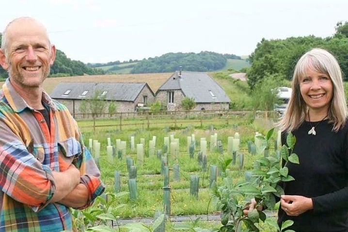 Jo Harper and Kathryn Bennett have turned their 13 acres in the foothills of Dartmoor into a thriving tea plantation - Dartmoor Estate Tea.