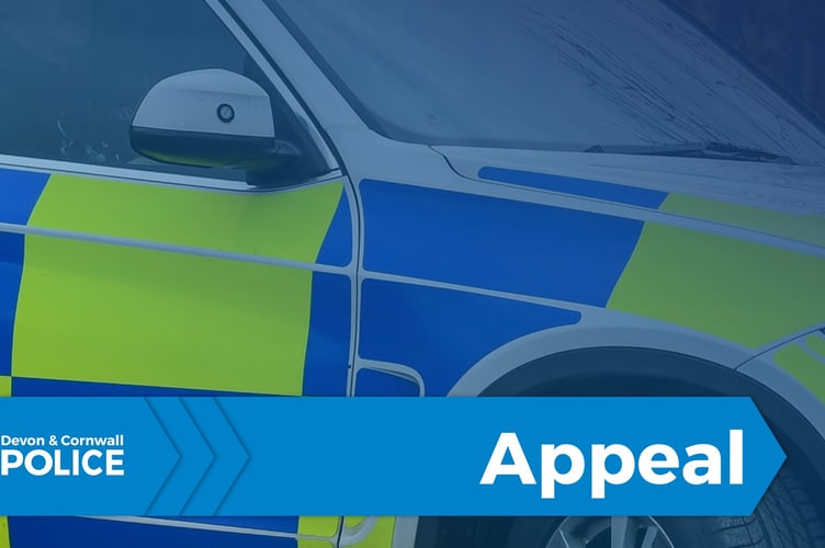 Police are appealing for information following an assault in Teignmouth. 
