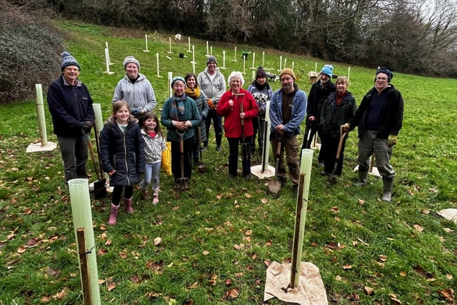 Trees planted to help planet