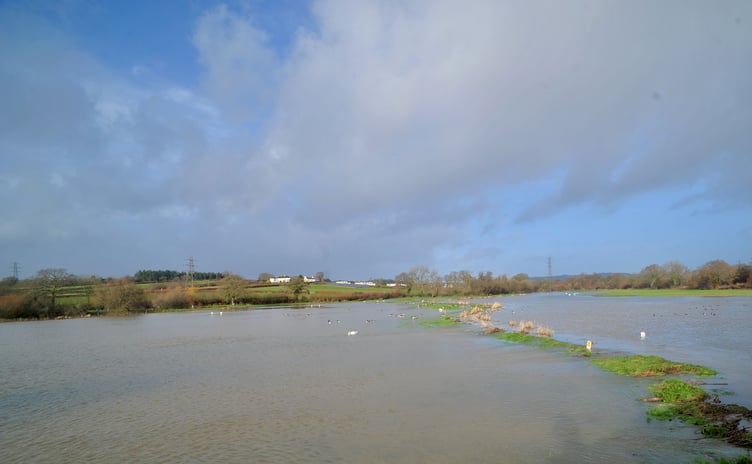 Flooded fields near Teigngrace