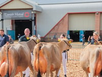 New sponsorship deal for Devon County Show