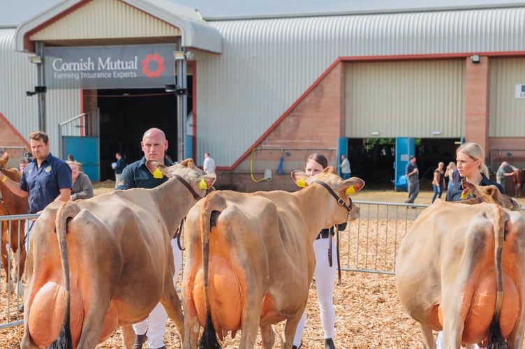 Cornish Mutual will be headline sponsors for this year's Devon County show