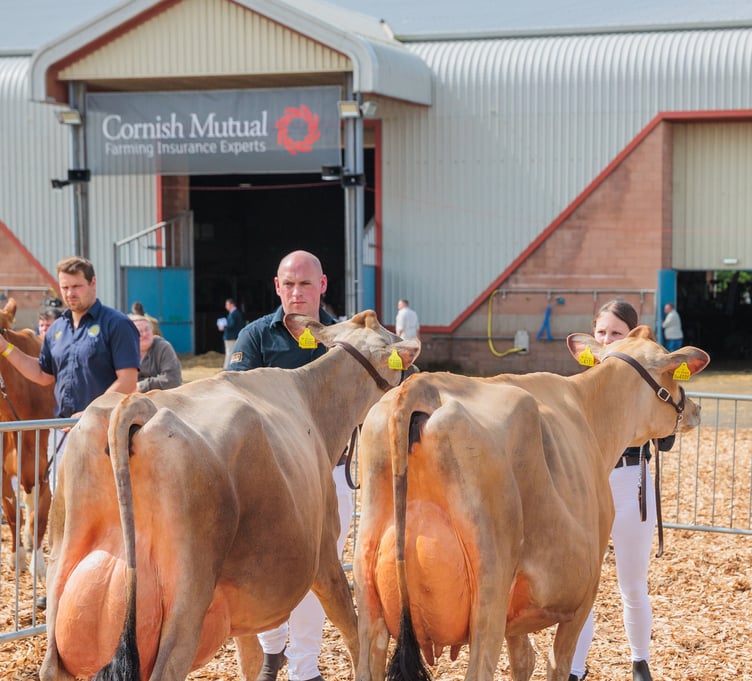 Cornish Mutual will be headline sponsors for this year's Devon County show