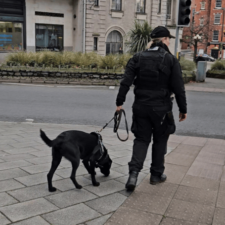 PC Sara Fleming leads PD Ken, who already has his nose to the ground