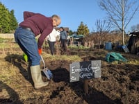 Community garden taking shape