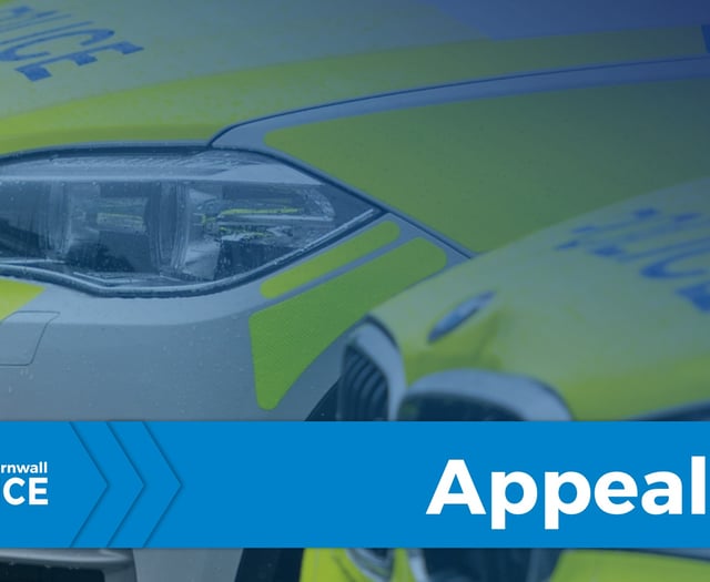 Appeal for information about missing woman